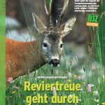 titel 4/2012 DJZ