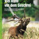 DJZ 09/2012 Voraussetzungen für Brunftjagd