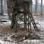 Jagd im Privatwald