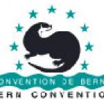 Berner Konvention