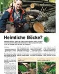 Heimliche Böcke?