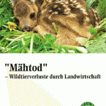 Flyer Mähtod