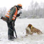 Hund (Magyar Viszla) apportiert Fuchs