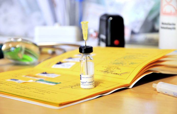 Glasfläschchen und Impfnadel auf aufgeschlagenem Impfpass