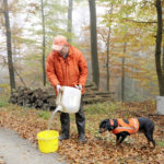 Hunde nach dem Treiben mit Wasser versorgen