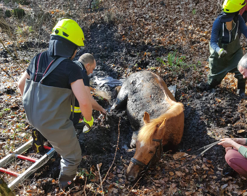 Feuerwehr gräbt Pferd und Waffen aus - Deutsche Jagdzeitung
