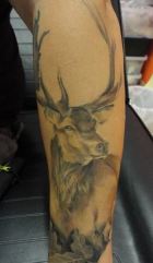 tattoo38_Fabian Backhaus2