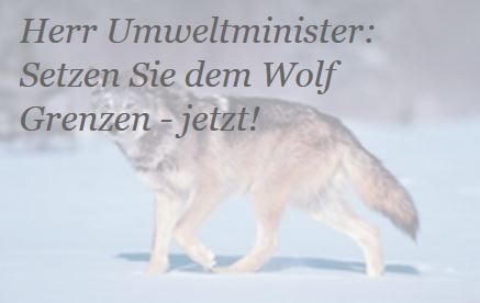 petition_wolf.JPG