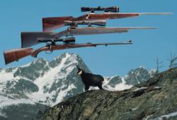 Mountain-Rifles